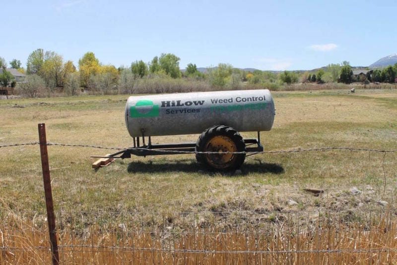 How Reno’s Record Amount Of Moisture Has Effected Weed And Vegetation