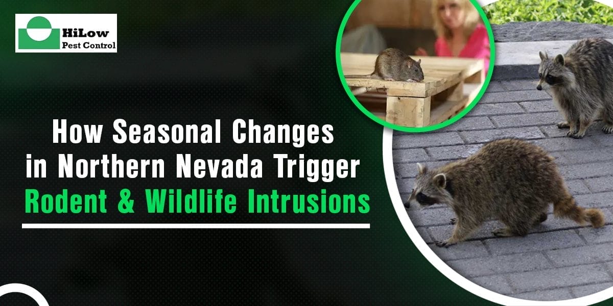 rodent & wildlife intrusions