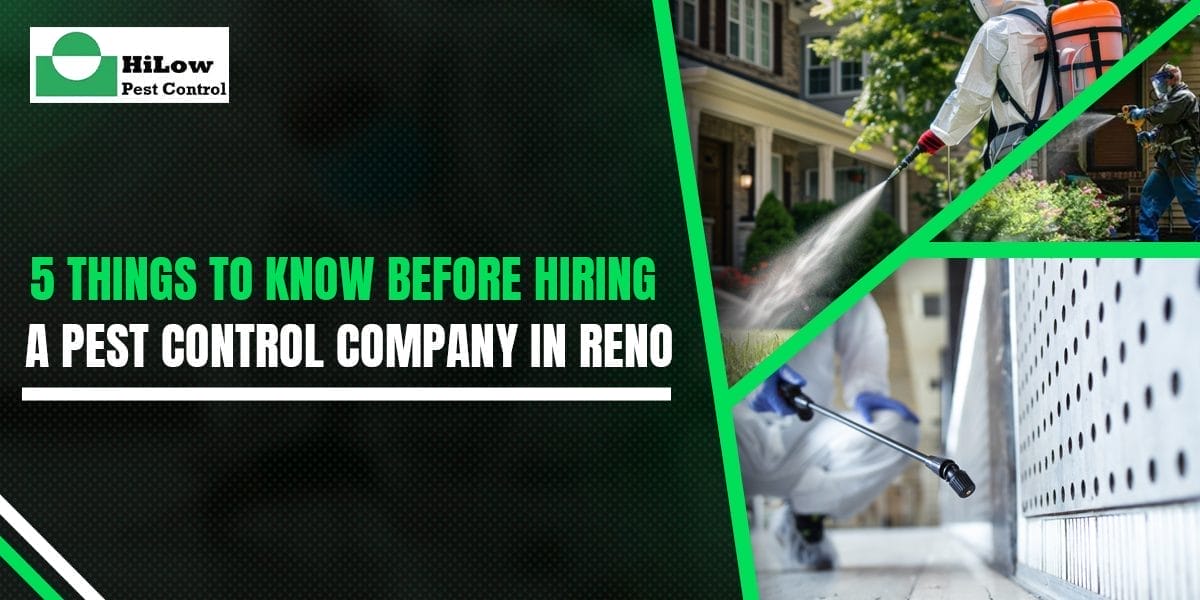 pest control company in Reno