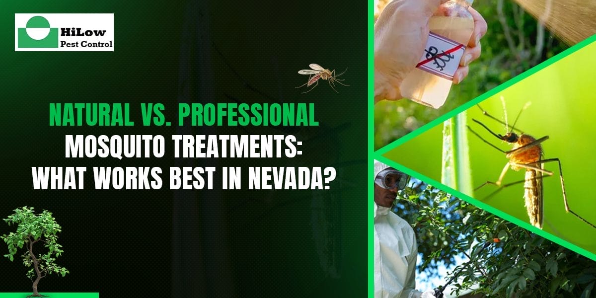 natural vs. professional mosquito treatments